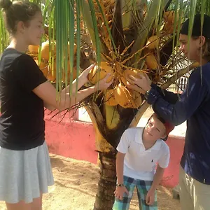https://rainbow-beach-apartments-rooms.comcaribbean.com